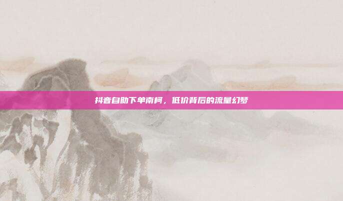 抖音自助下单南柯，低价背后的流量幻梦