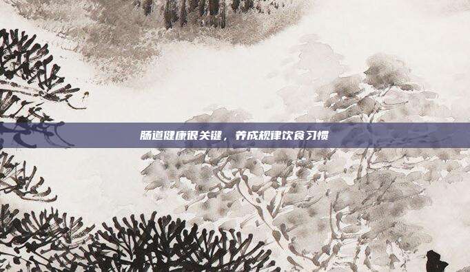 肠道健康很关键，养成规律饮食习惯
