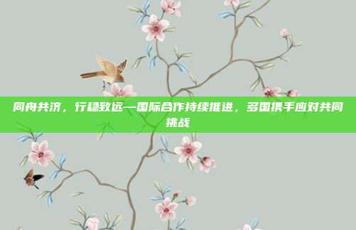 同舟共济,行稳致远—国际合作持续推进,多国携手应对共同挑战