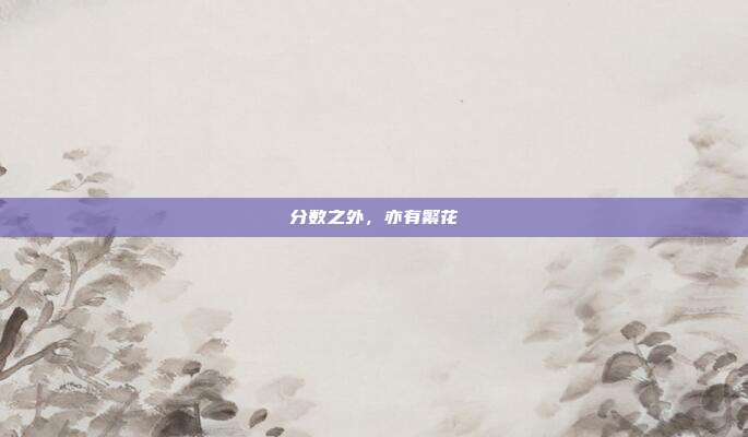 分数之外,亦有繁花