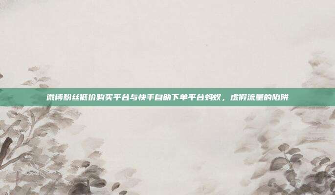 微博粉丝低价购买平台与快手自助下单平台蚂蚁，虚假流量的陷阱