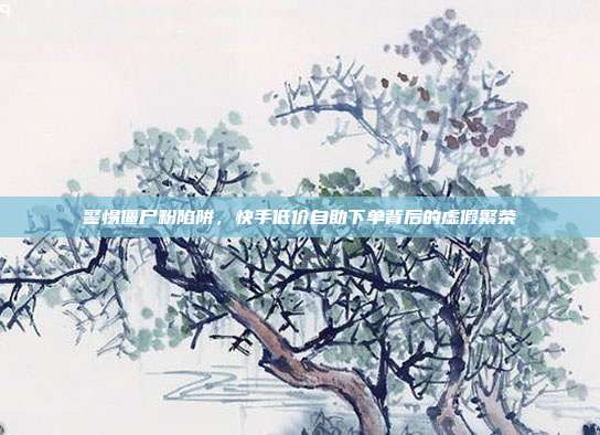 警惕僵尸粉陷阱,快手低价自助下单背后的虚假繁荣