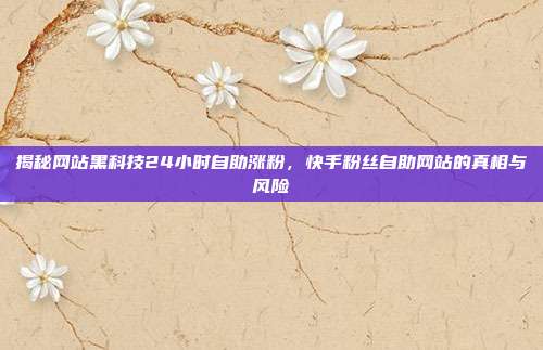揭秘网站黑科技24小时自助涨粉,快手粉丝自助网站的真相与风险