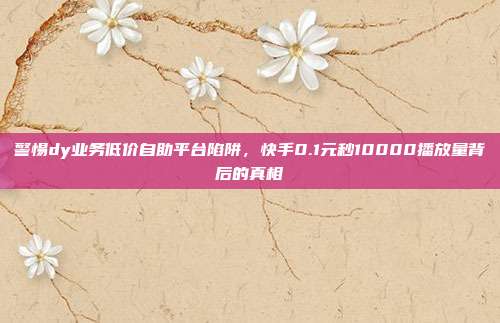 警惕dy业务低价自助平台陷阱,快手0.1元秒10000播放量背后的真相