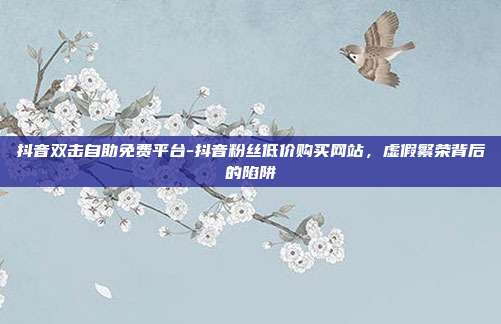 抖音双击自助免费平台-抖音粉丝低价购买网站,虚假繁荣背后的陷阱