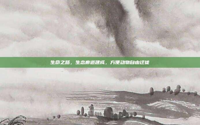 生命之路,生态廊道建成,方便动物自由迁徙