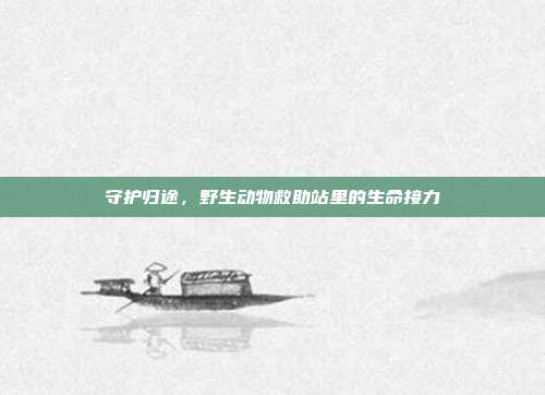 守护归途，野生动物救助站里的生命接力