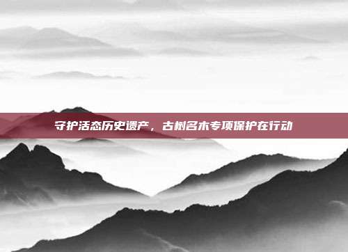 守护活态历史遗产,古树名木专项保护在行动