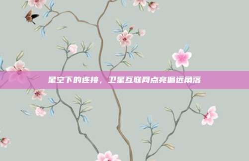 星空下的连接,卫星互联网点亮偏远角落