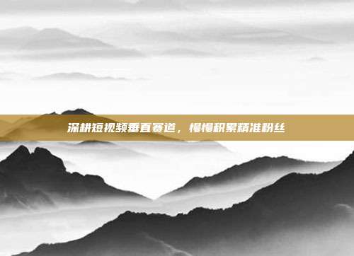 深耕短视频垂直赛道,慢慢积累精准粉丝