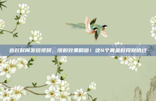 选对时间发短视频，涨粉效果翻倍！这4个黄金时段别错过