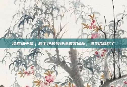 冷启动干货｜新手视频号快速破零涨粉，这3招就够了