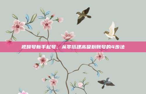 视频号新手起号,从零搭建高吸粉账号的4步法