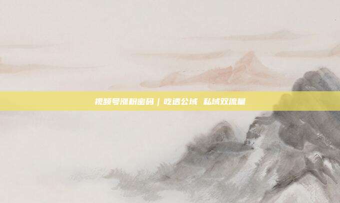 视频号涨粉密码|吃透公域 私域双流量