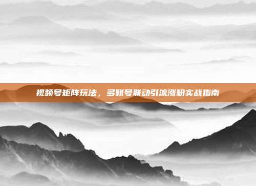 视频号矩阵玩法,多账号联动引流涨粉实战指南