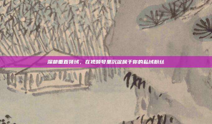 深耕垂直领域，在视频号里沉淀属于你的私域粉丝