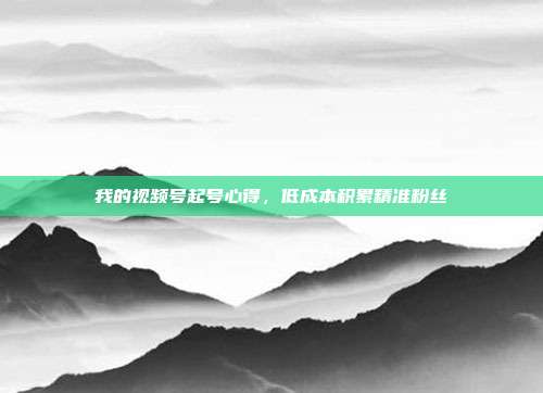 我的视频号起号心得，低成本积累精准粉丝