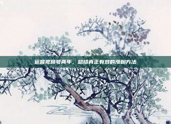 运营视频号两年,总结真正有效的涨粉方法