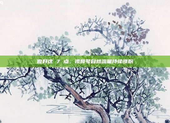 做好这 7 点，视频号自然流量持续涨粉