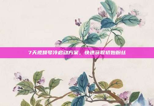 7天视频号冷启动方案,快速获取初始粉丝