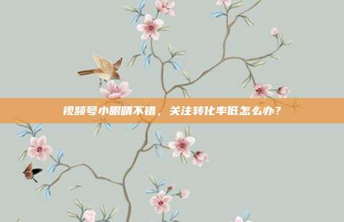 视频号小眼睛不错,关注转化率低怎么办?