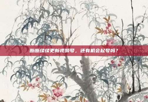 断断续续更新视频号，还有机会起号吗？