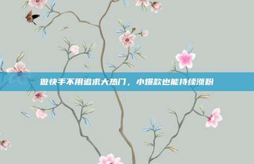 做快手不用追求大热门,小爆款也能持续涨粉