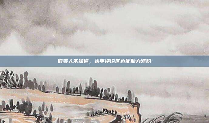 很多人不知道,快手评论区也能助力涨粉