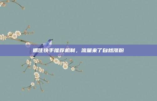 抓住快手推荐机制，流量来了自然涨粉