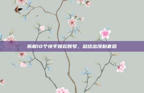 拆解10个快手爆款账号，总结出涨粉套路