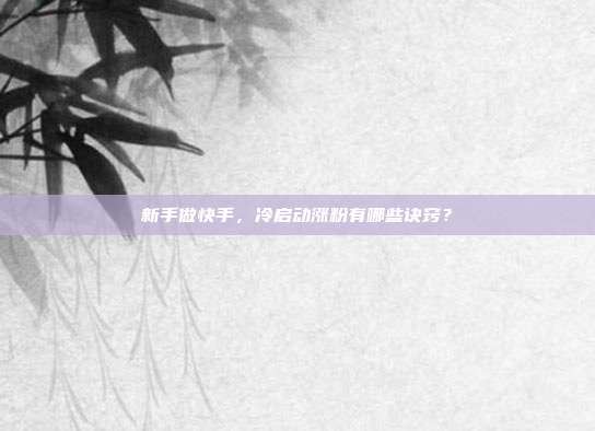 新手做快手，冷启动涨粉有哪些诀窍？