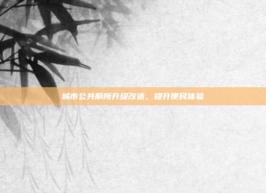 城市公共厕所升级改造,提升便民体验
