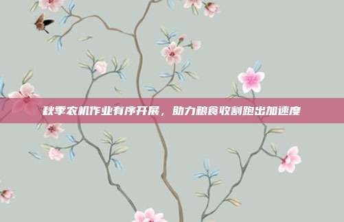 秋季农机作业有序开展，助力粮食收割跑出加速度