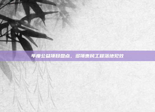 年度公益项目盘点，多项惠民工程落地见效