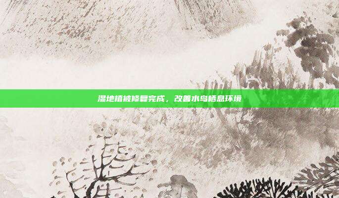 湿地植被修复完成，改善水鸟栖息环境
