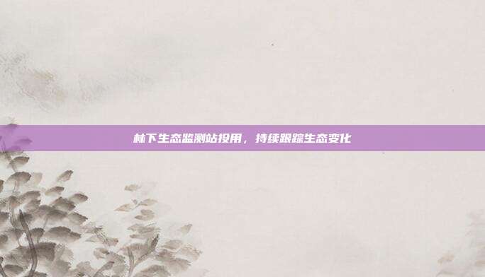 林下生态监测站投用，持续跟踪生态变化
