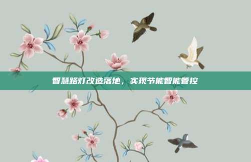 智慧路灯改造落地,实现节能智能管控