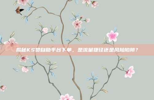 揭秘KS赞自助平台下单，是流量捷径还是风险陷阱？