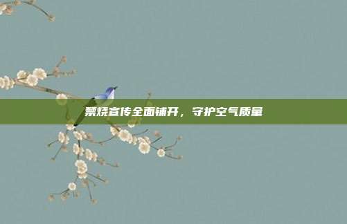 禁烧宣传全面铺开,守护空气质量