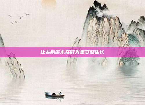 让古树名木在时光里安然生长
