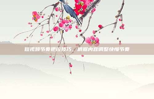短视频节奏把控技巧，根据内容调整快慢节奏