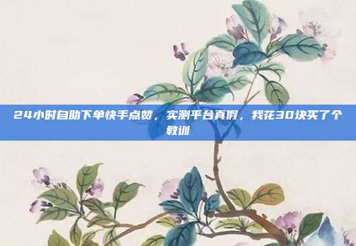 24小时自助下单快手点赞,实测平台真假,我花30块买了个教训