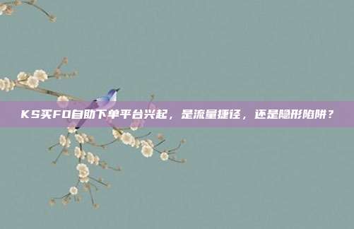 KS买FO自助下单平台兴起，是流量捷径，还是隐形陷阱？