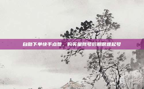 自助下单快手点赞,购买量账号后期很难起号