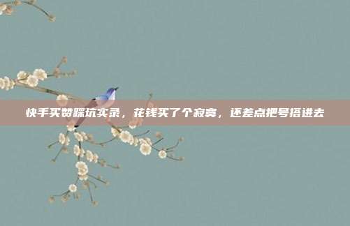 快手买赞踩坑实录，花钱买了个寂寞，还差点把号搭进去