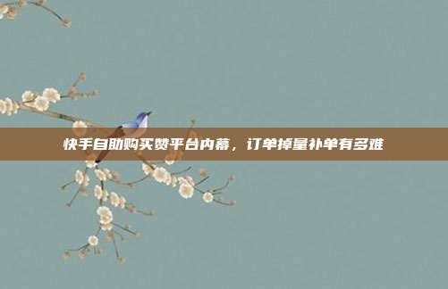 快手自助购买赞平台内幕，订单掉量补单有多难