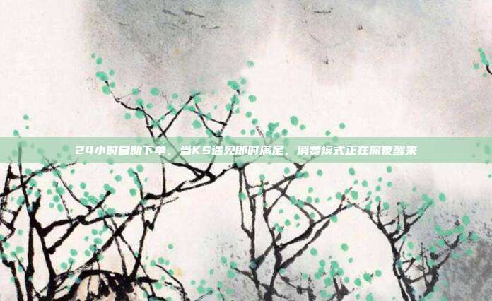 24小时自助下单,当KS遇见即时满足,消费模式正在深夜醒来