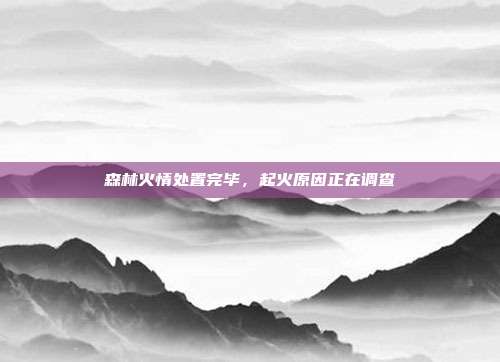森林火情处置完毕，起火原因正在调查