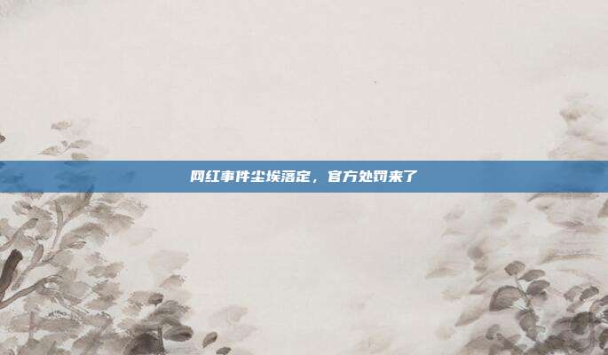网红事件尘埃落定,官方处罚来了