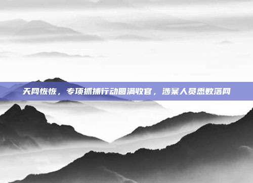 天网恢恢，专项抓捕行动圆满收官，涉案人员悉数落网